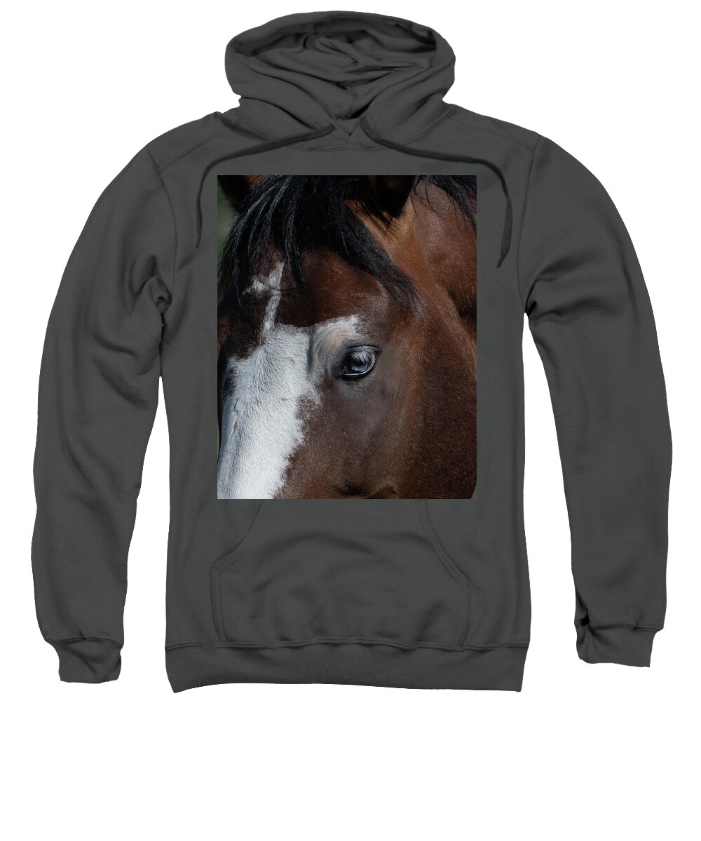 Wild Horses Sweatshirt featuring the photograph Knowledge by Mary Hone