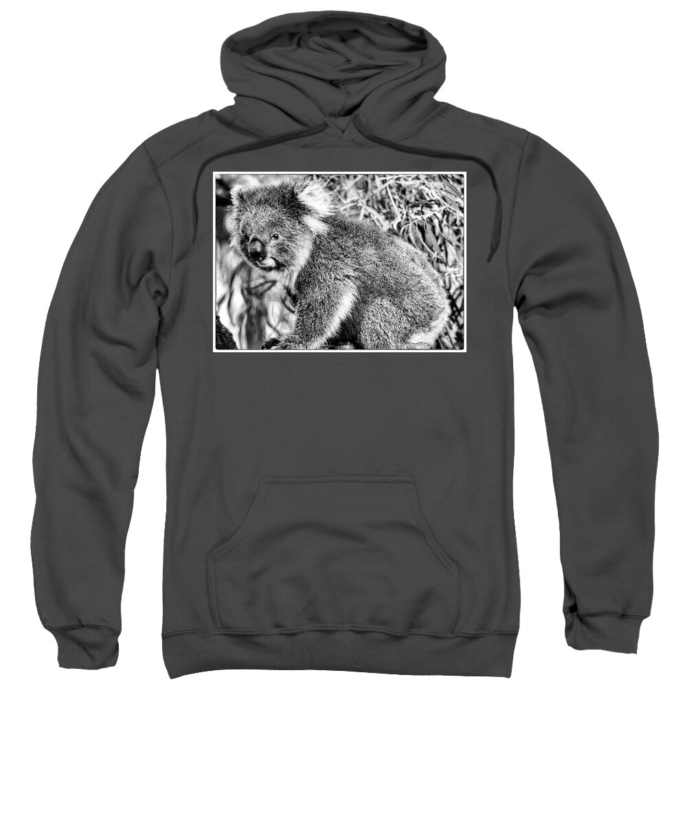 Australia Sweatshirt featuring the photograph Koala Bear by Frank Lee