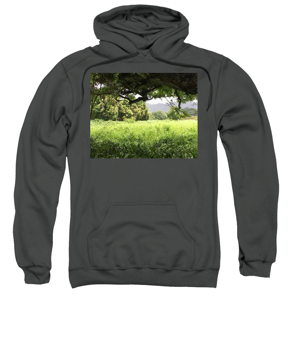Koloa Town Sweatshirt featuring the photograph Koloa Shade Green by Jennifer Kane Webb