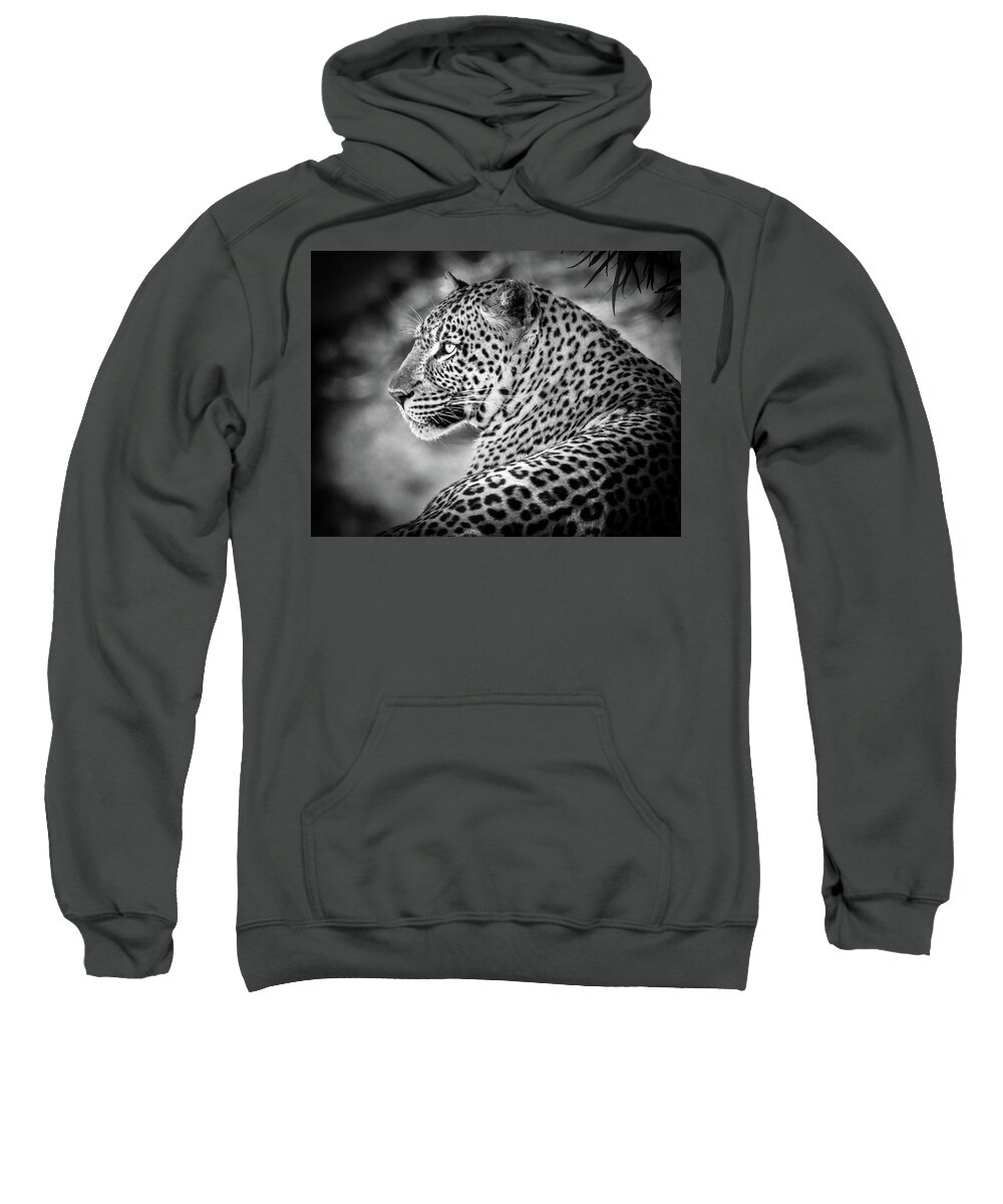 Africa Sweatshirt featuring the photograph Leopard by James Capo