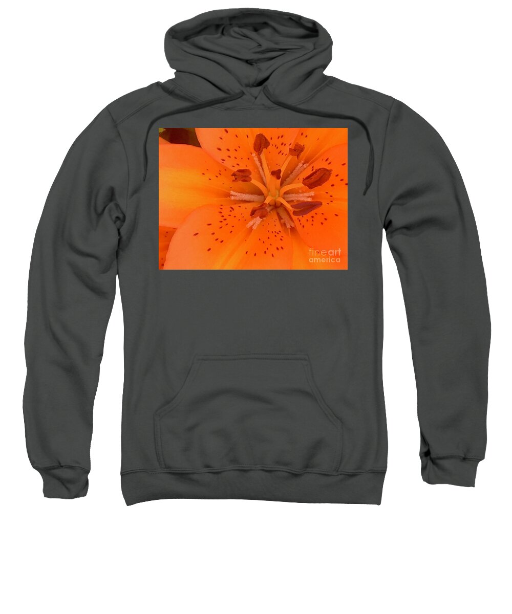 Lily Flower Sweatshirt featuring the photograph Lily Closeup by Carmen Lam