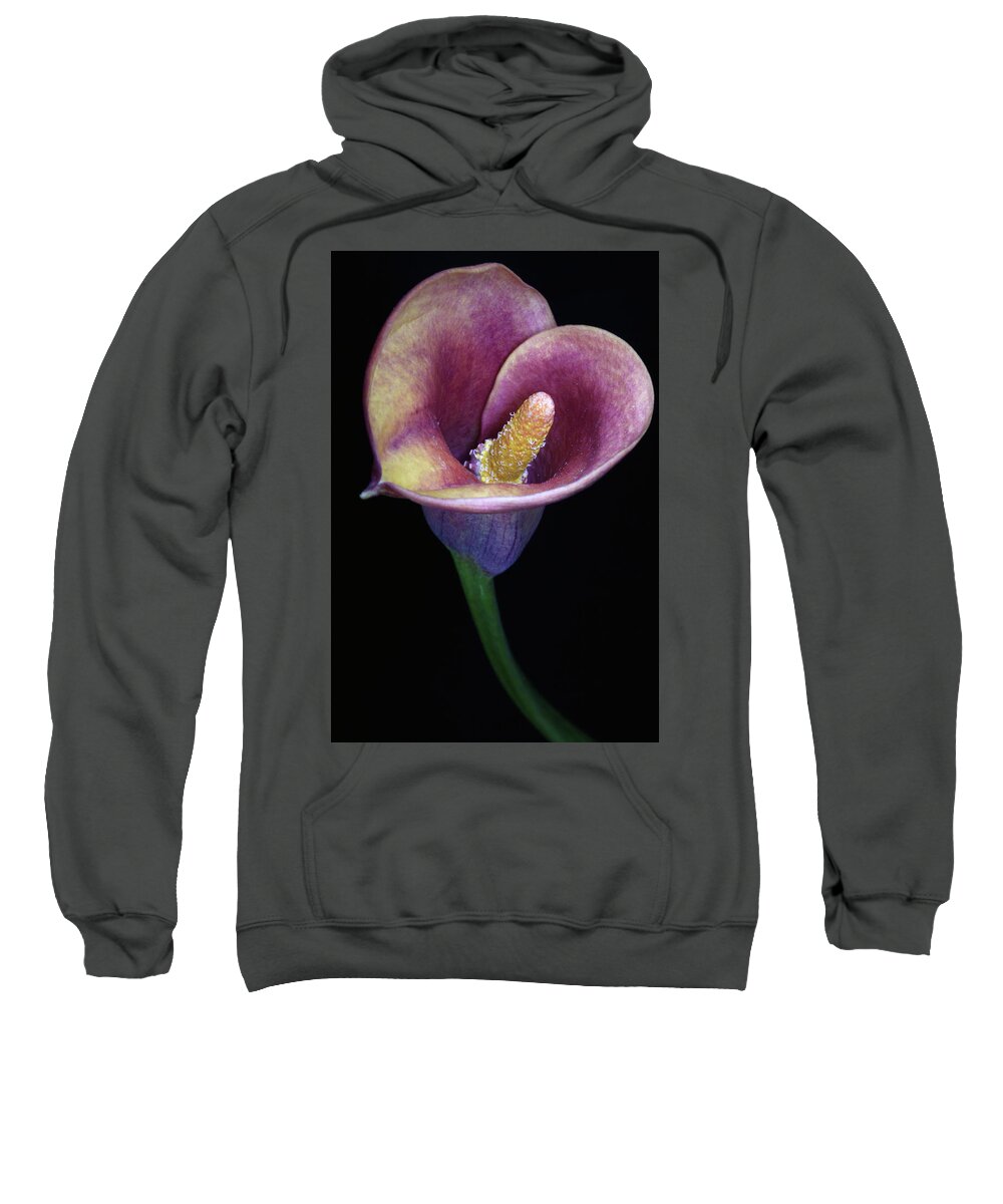 Flower Sweatshirt featuring the photograph Lily Feb282008 by Julie Powell