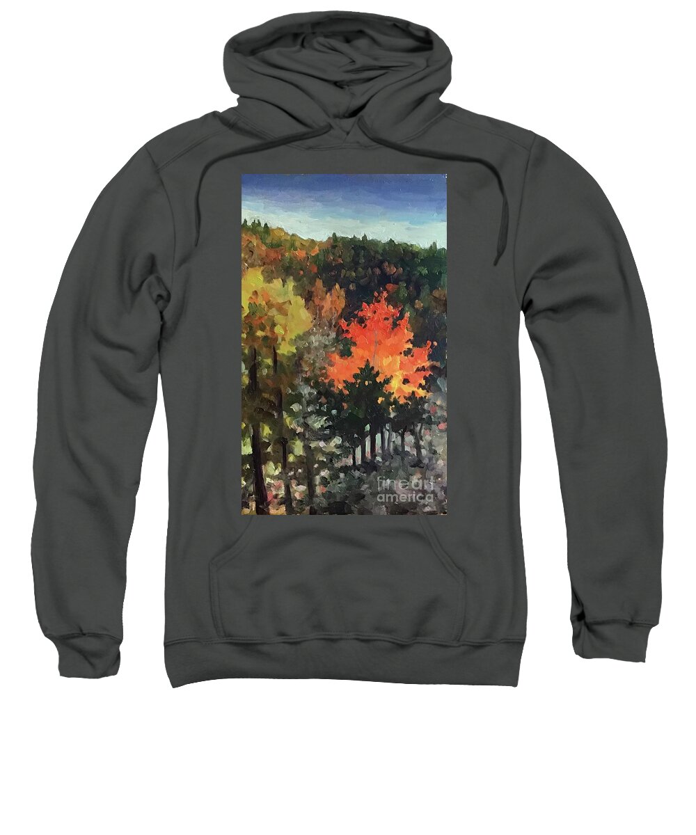 Fall Sweatshirt featuring the painting Linville Glow by Anne Marie Brown
