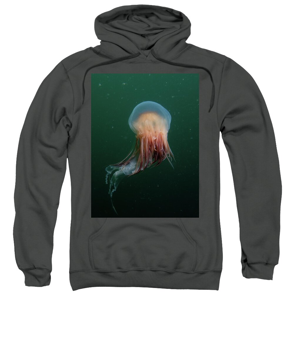 Jellyfish Sweatshirt featuring the photograph Lion's Mane Jellyfish by Brian Weber
