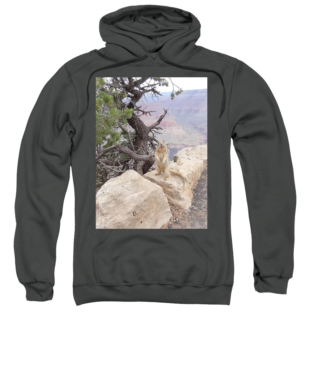 Little Animal Sweatshirt featuring the photograph little animal Grand Canyon by Joelle Philibert