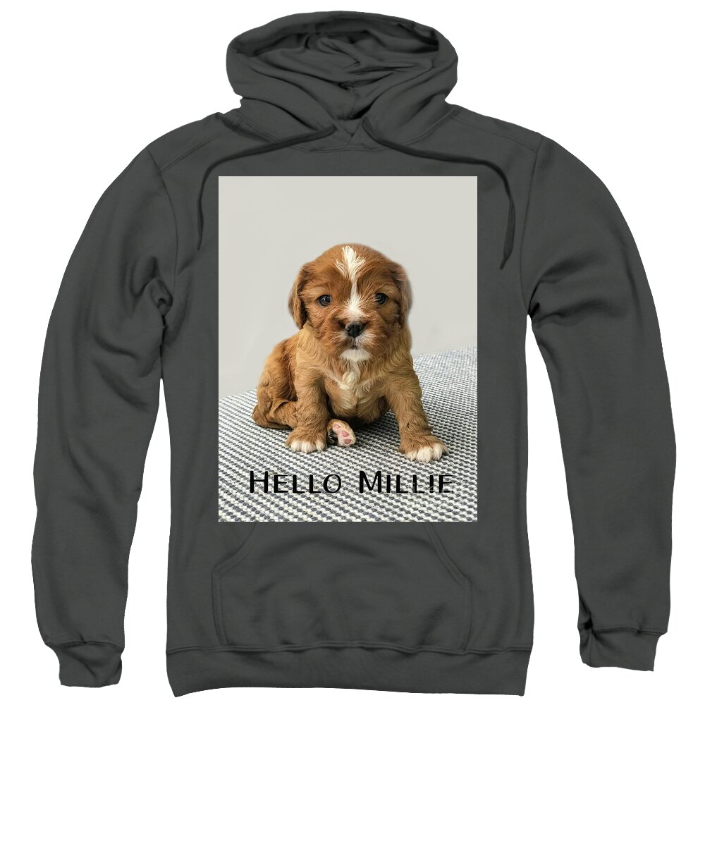 Cavalier Sweatshirt featuring the photograph Little Miss Millie by Marilyn Cornwell