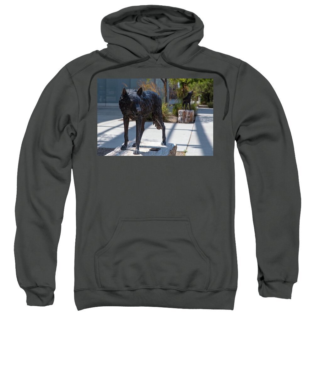 New Mexico Sweatshirt featuring the photograph Lobo statue on the campus of the University of New Mexico by Eldon McGraw