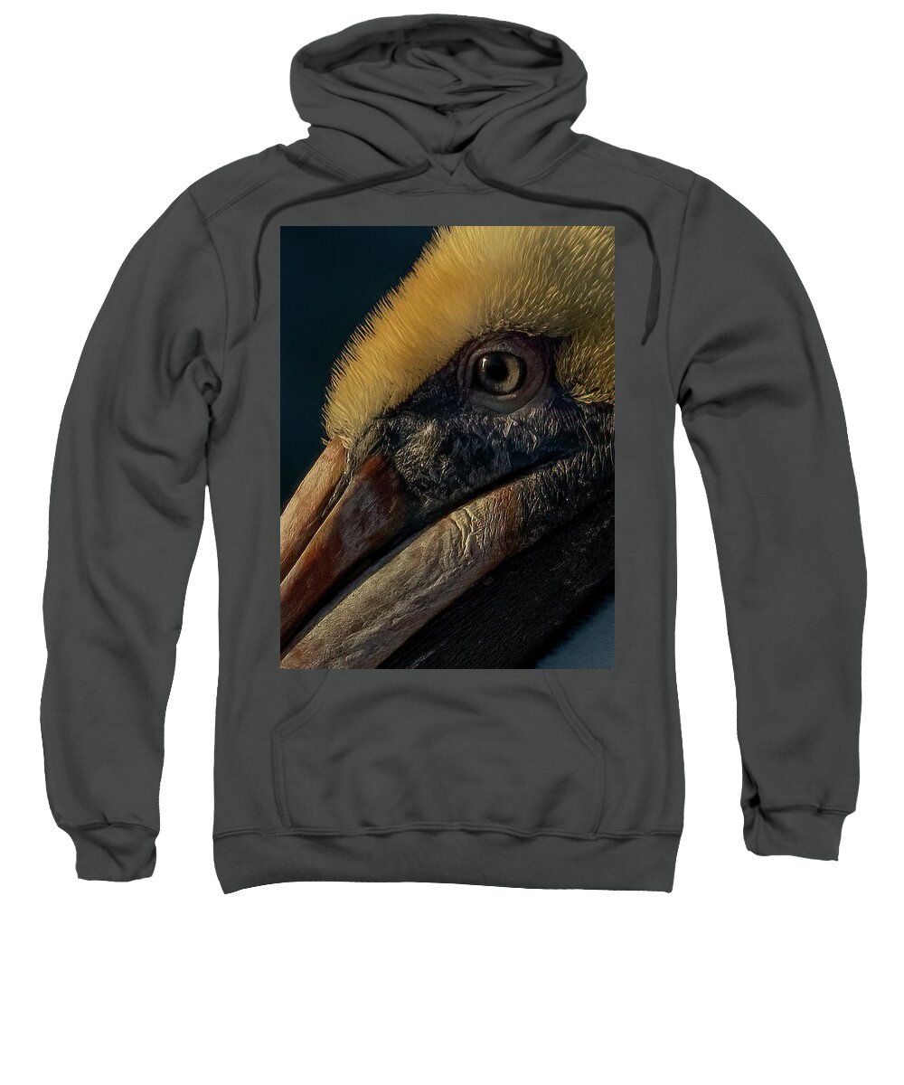 Pelican Sweatshirt featuring the photograph Looking Weathered by RD Allen
