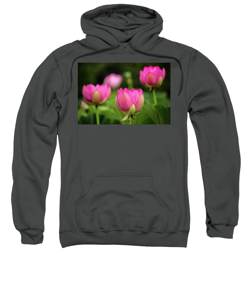 Kenilworth Gardens Sweatshirt featuring the photograph Lotus and friends by Robert Miller