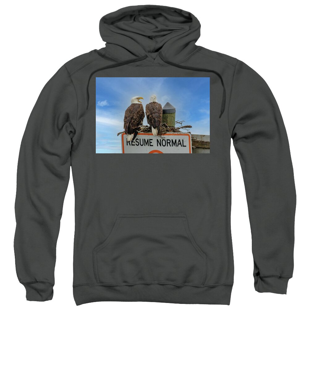 Eagle Sweatshirt featuring the photograph Love Birds by Les Greenwood