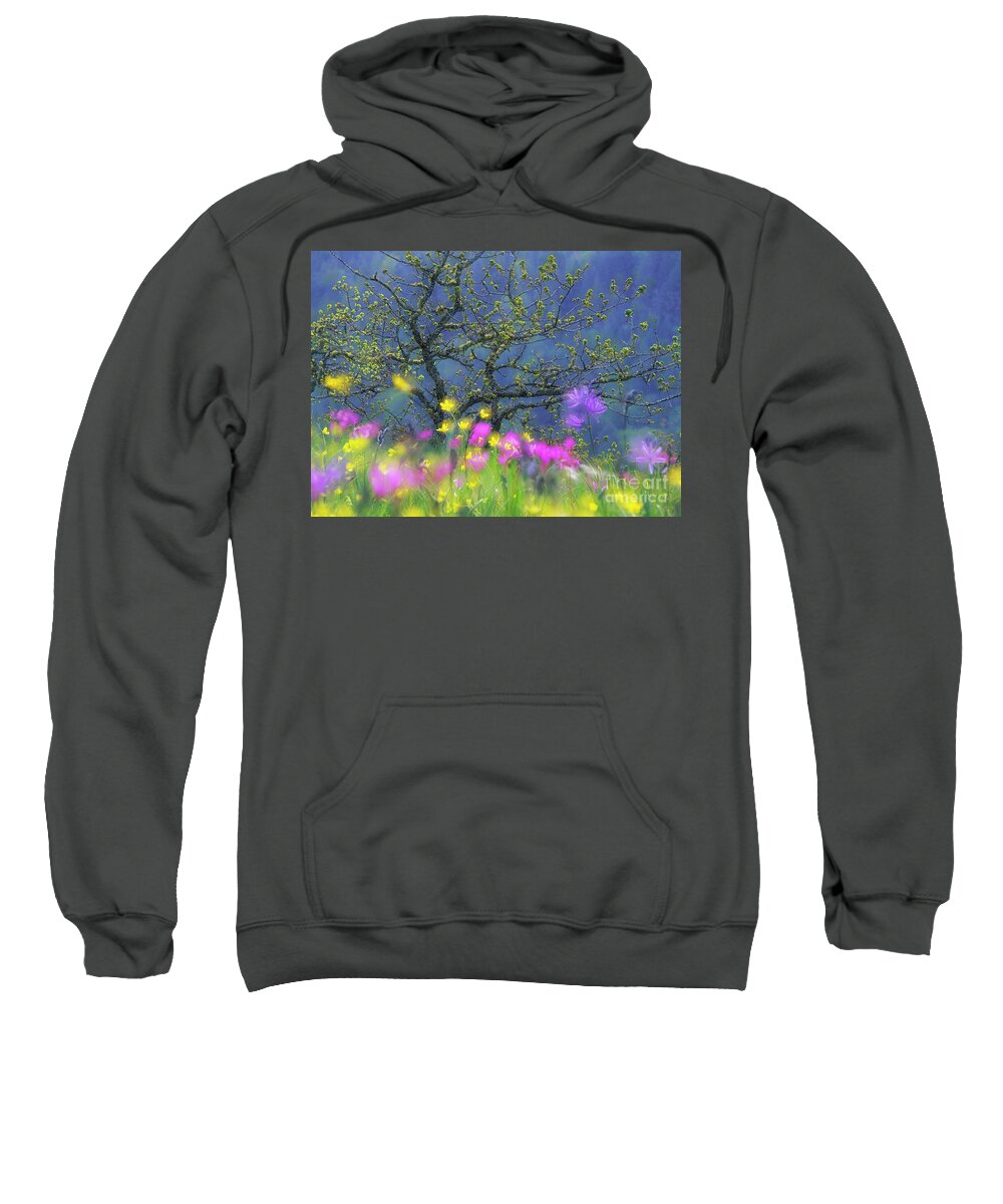 Garry Oak Meadow Sweatshirt featuring the photograph Magic Meadow by Michael Wheatley