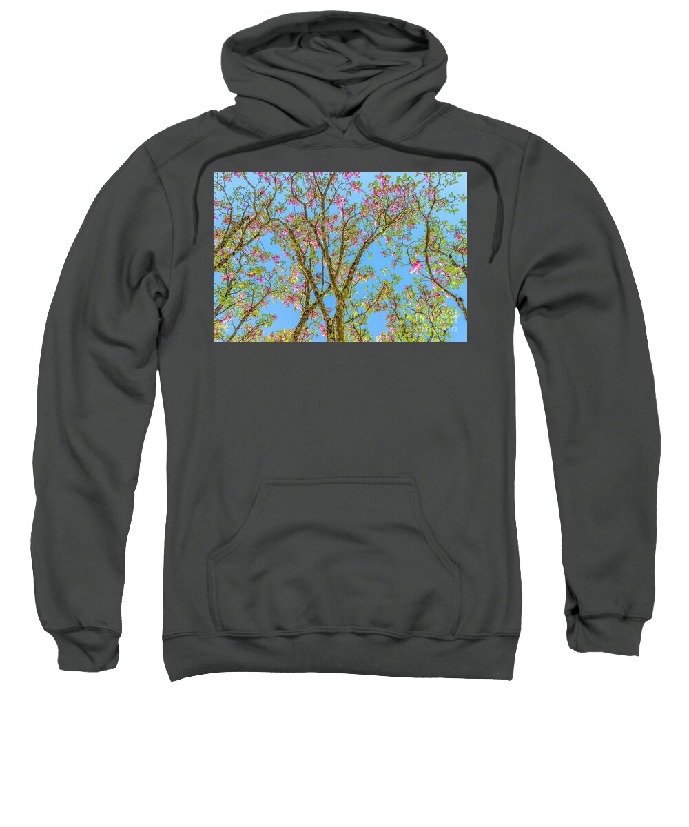 British Columbia Sweatshirt featuring the photograph Magnolia blossom by Michael Wheatley