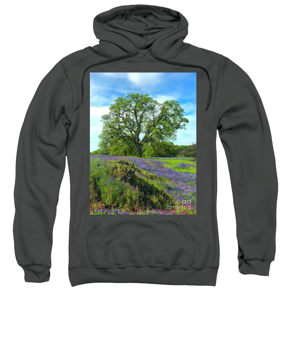 Trees Sweatshirt featuring the photograph Majestic Oak by Lisa Billingsley