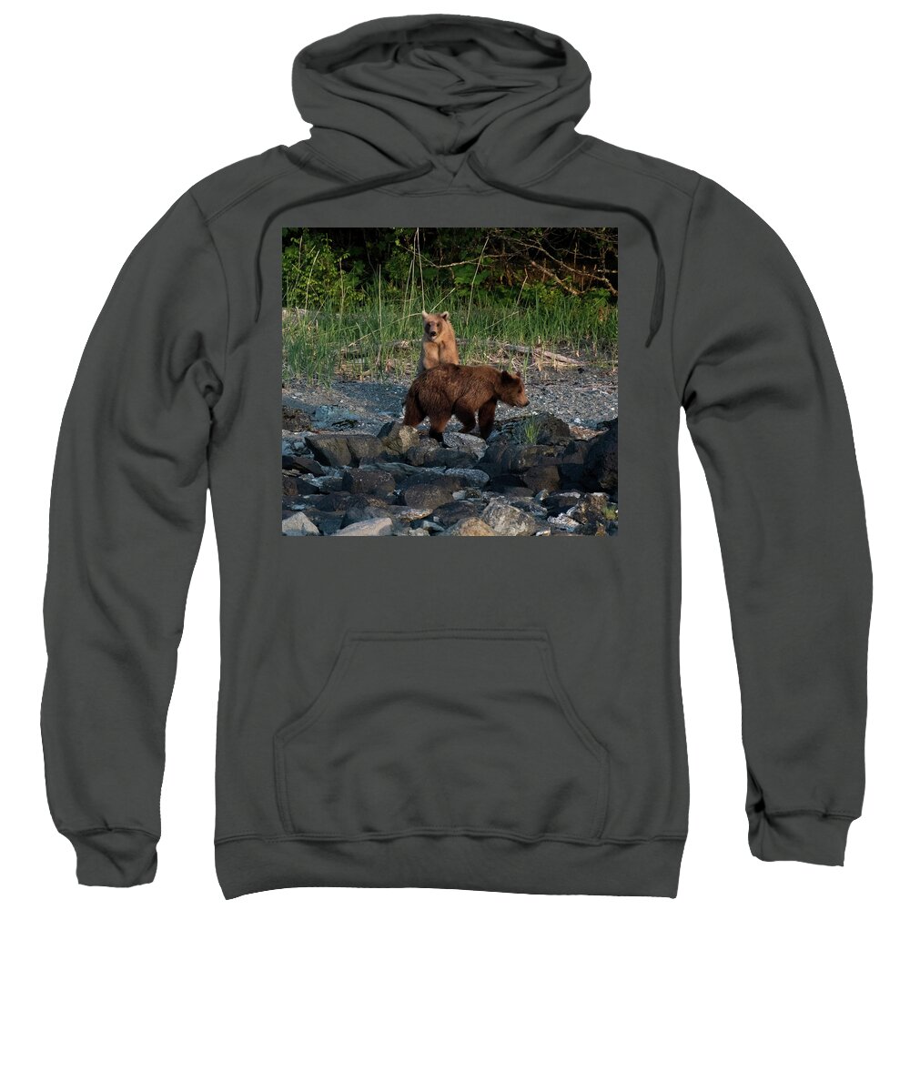 Brown Bears Sweatshirt featuring the photograph Mama and Cub by David Kirby