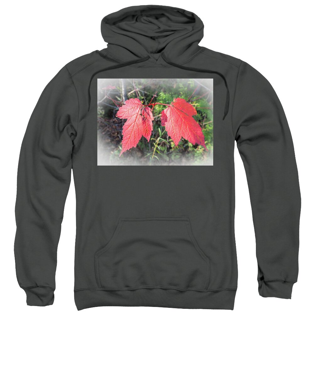 Leaves Sweatshirt featuring the photograph Maple Leaves at Lepreau Falls by James C Richardson