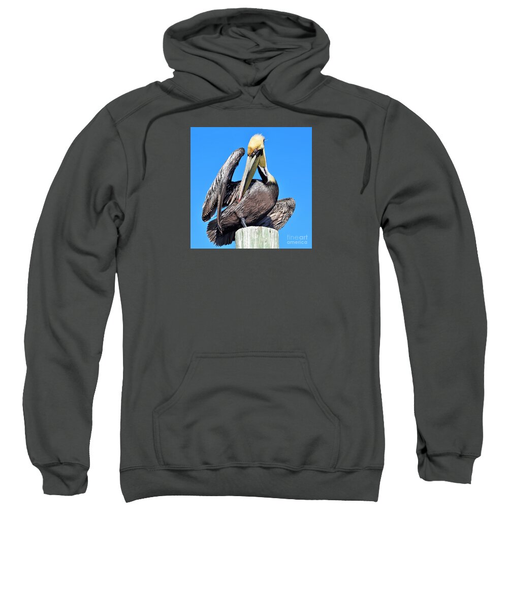 Pelican Sweatshirt featuring the photograph Brown pelican sunning and preening by Joanne Carey