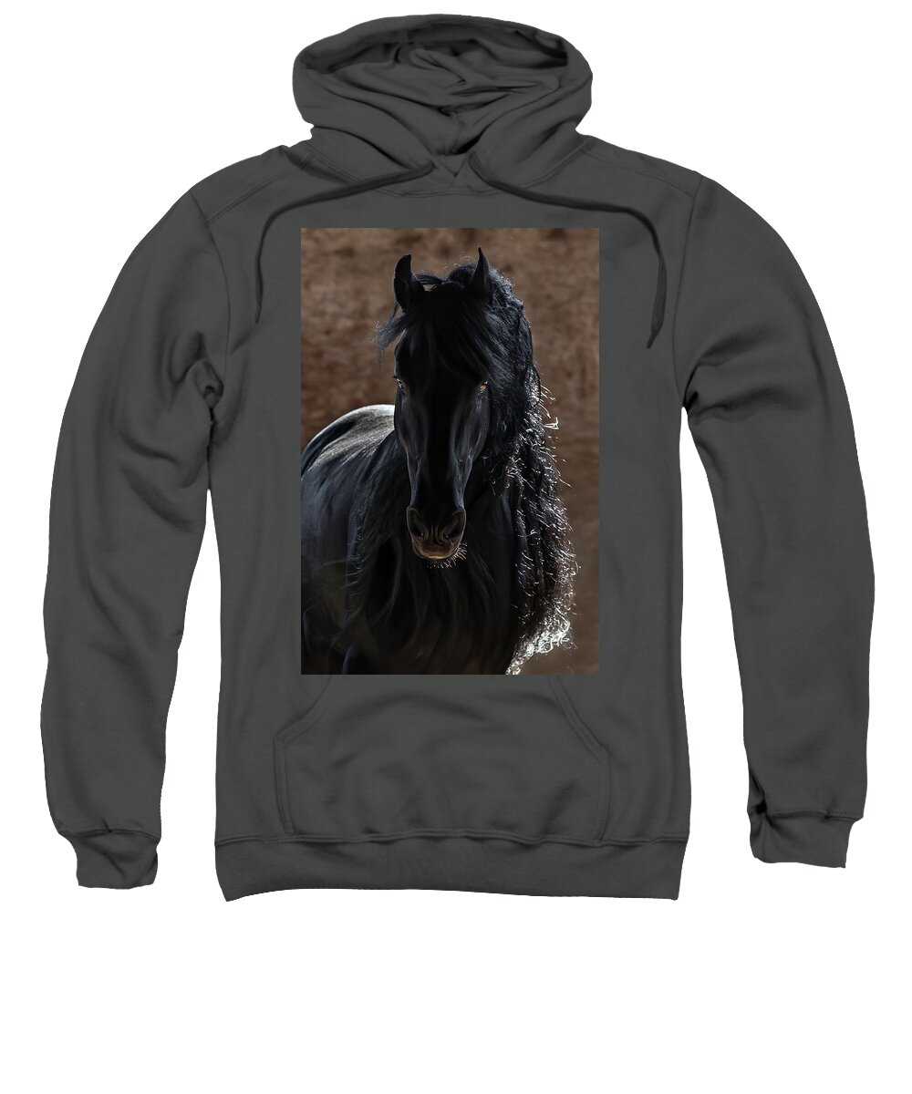 Midnight Magic Sweatshirt featuring the photograph Midnight Magic by Wes and Dotty Weber