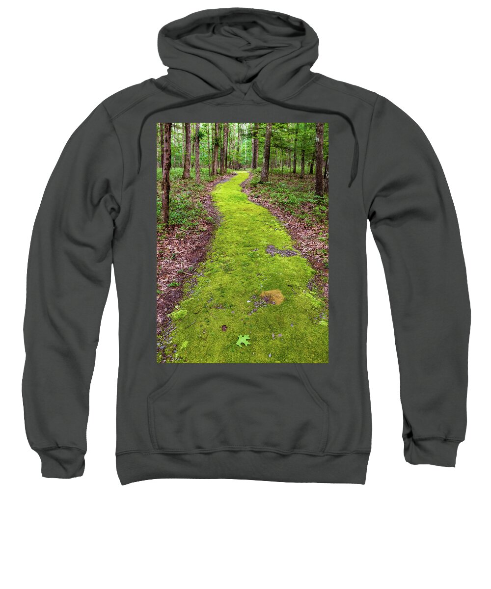 Trails Sweatshirt featuring the photograph Minisink Battleground Park Trail by Amelia Pearn