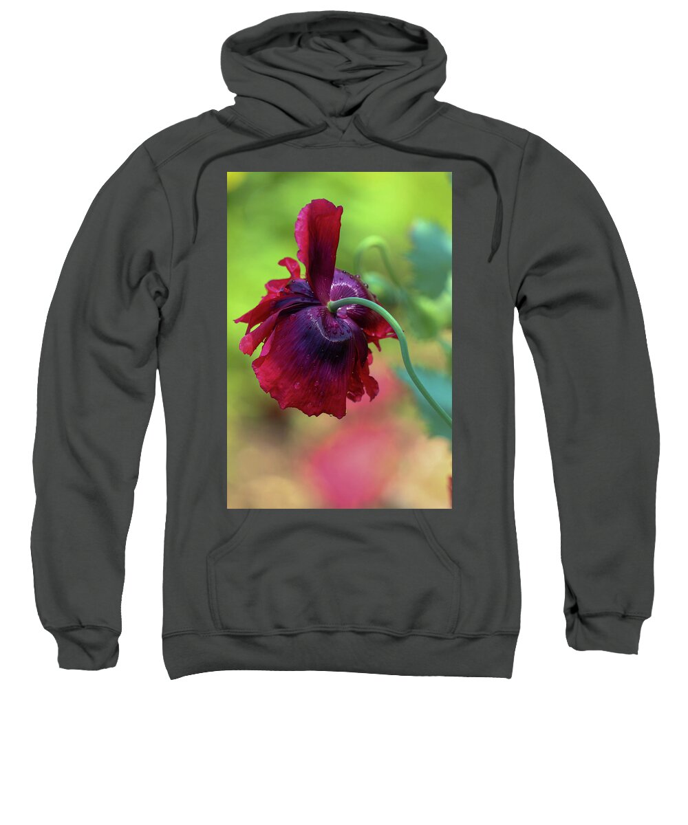 Photography Sweatshirt featuring the photograph Mist Kissed by Mary Anne Delgado