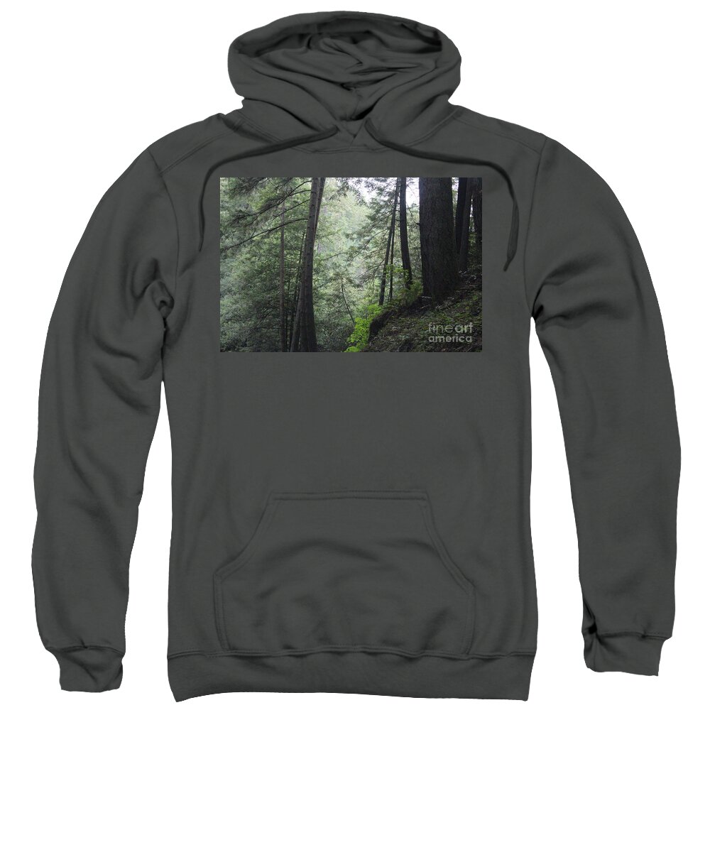 Forest Sweatshirt featuring the photograph Misty Forest Near the Coast by Martha Sherman