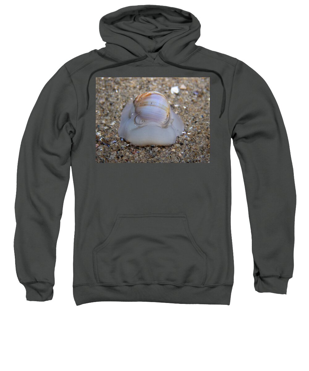 Snail Sweatshirt featuring the photograph Moon snail by Brian Weber