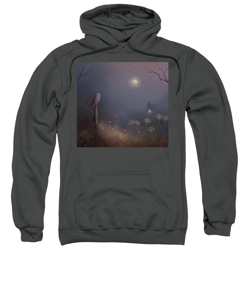 Wildlife Sweatshirt featuring the painting Moon Wisdom by Joe Gilronan