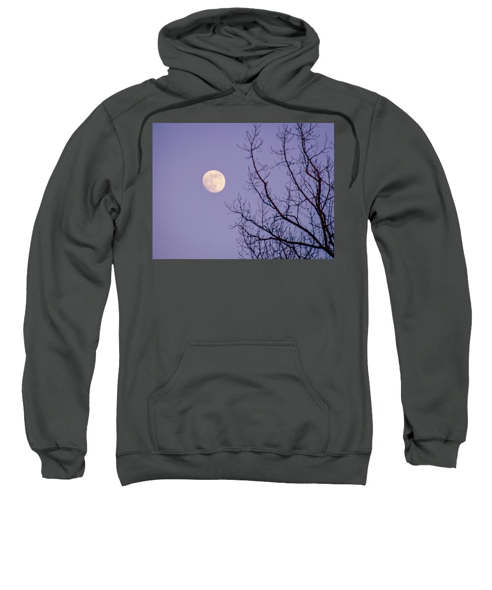 Full Moon Sweatshirt featuring the photograph January Moonshine by Susie Loechler