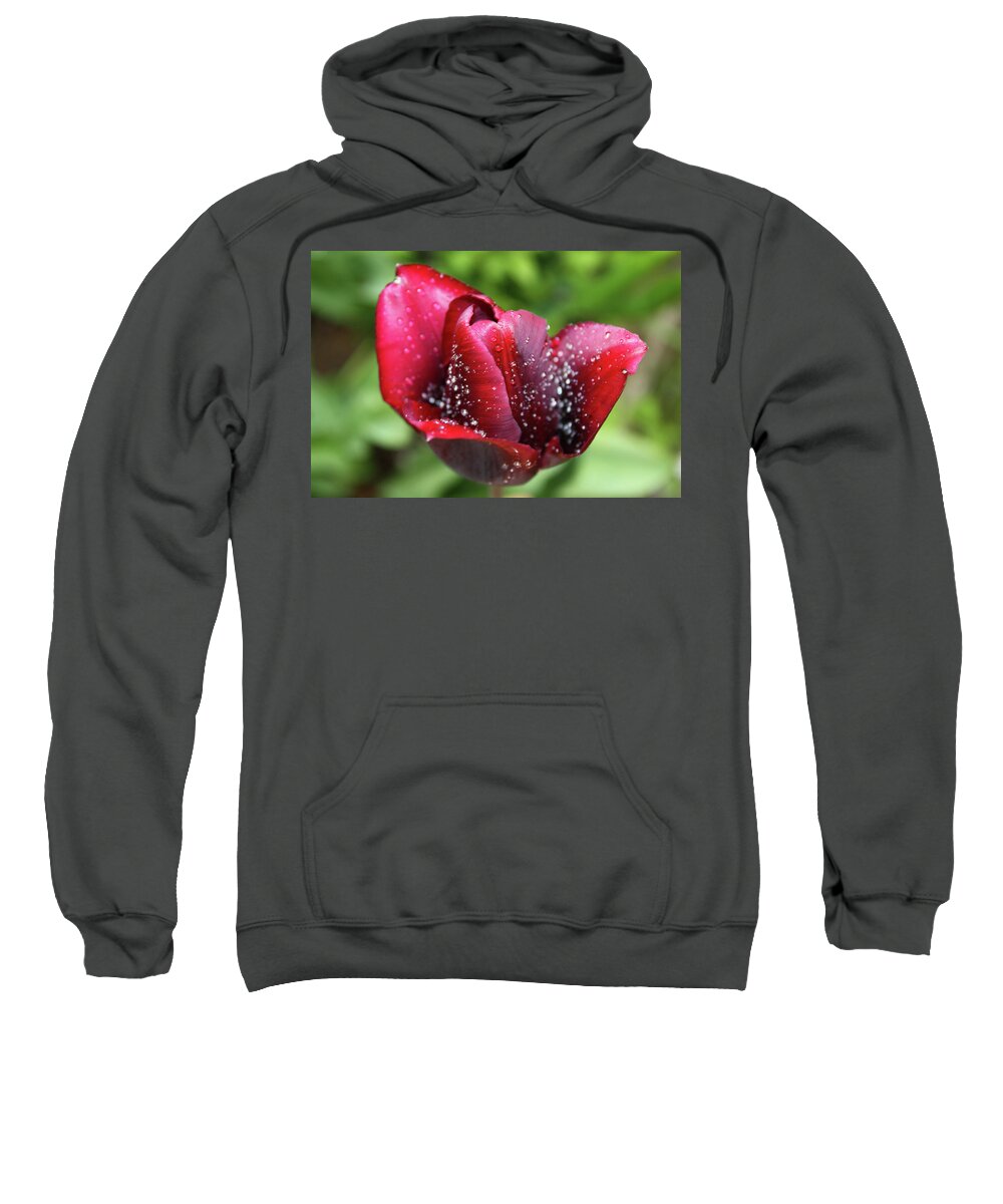 Tulip Sweatshirt featuring the photograph Morning dew by Maria Dimitrova