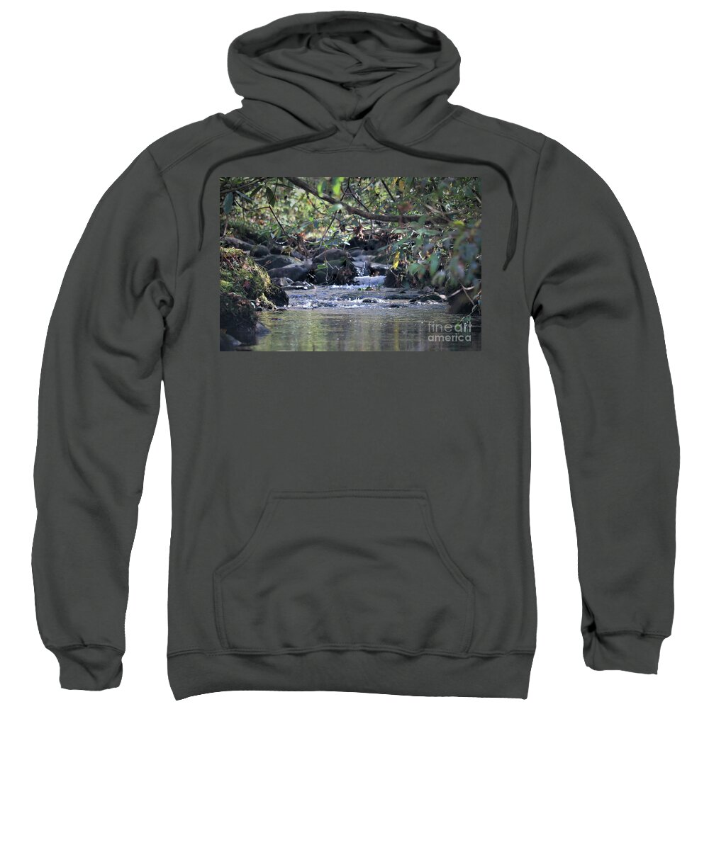 Landscape Sweatshirt featuring the photograph Mountain Water , Smoky Mountains by Theresa D Williams