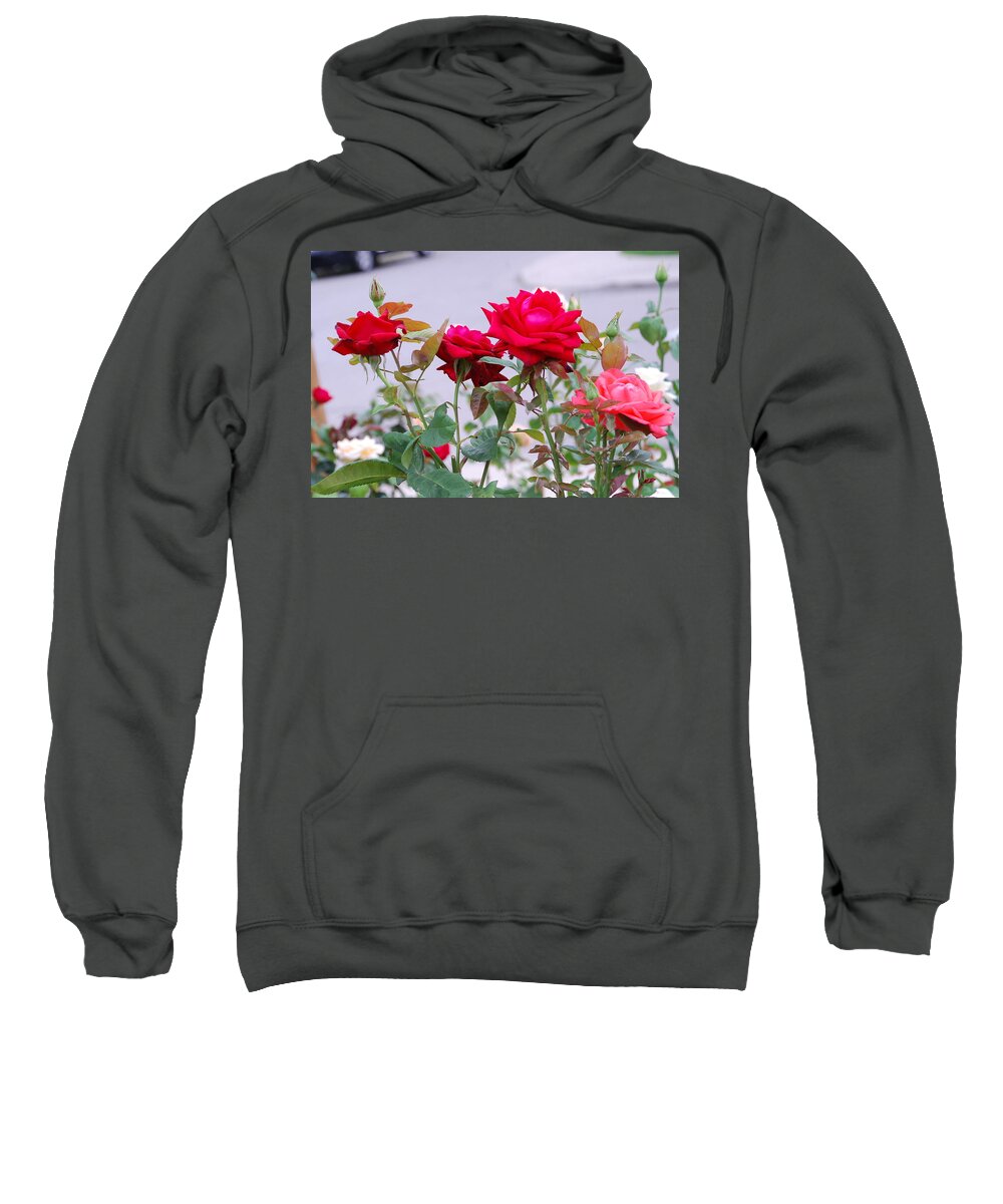 Roses Sweatshirt featuring the photograph Multi Roses by Ee Photography