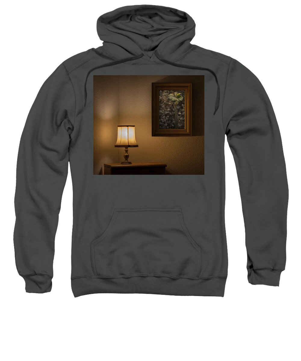 Decor Sweatshirt featuring the photograph Natural decoration by Mary Kei