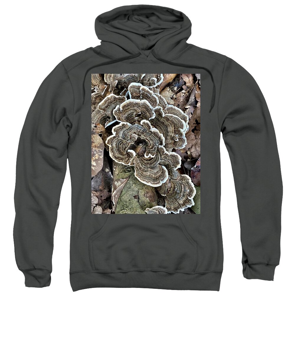 Nature Sweatshirt featuring the photograph Nature's Artwork by Bess Carter