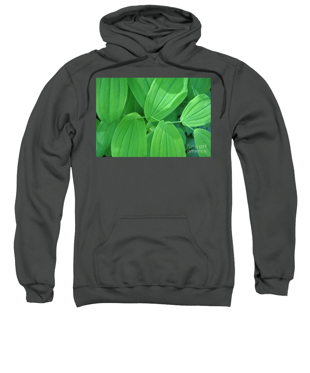 Leaf Sweatshirt featuring the photograph Natures Sewing Thread by Ann Horn