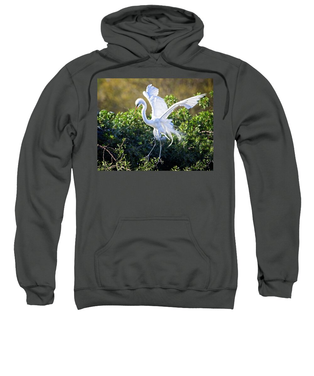 Great Egret Sweatshirt featuring the photograph Great Egret Building a Nest by Ronald Lutz