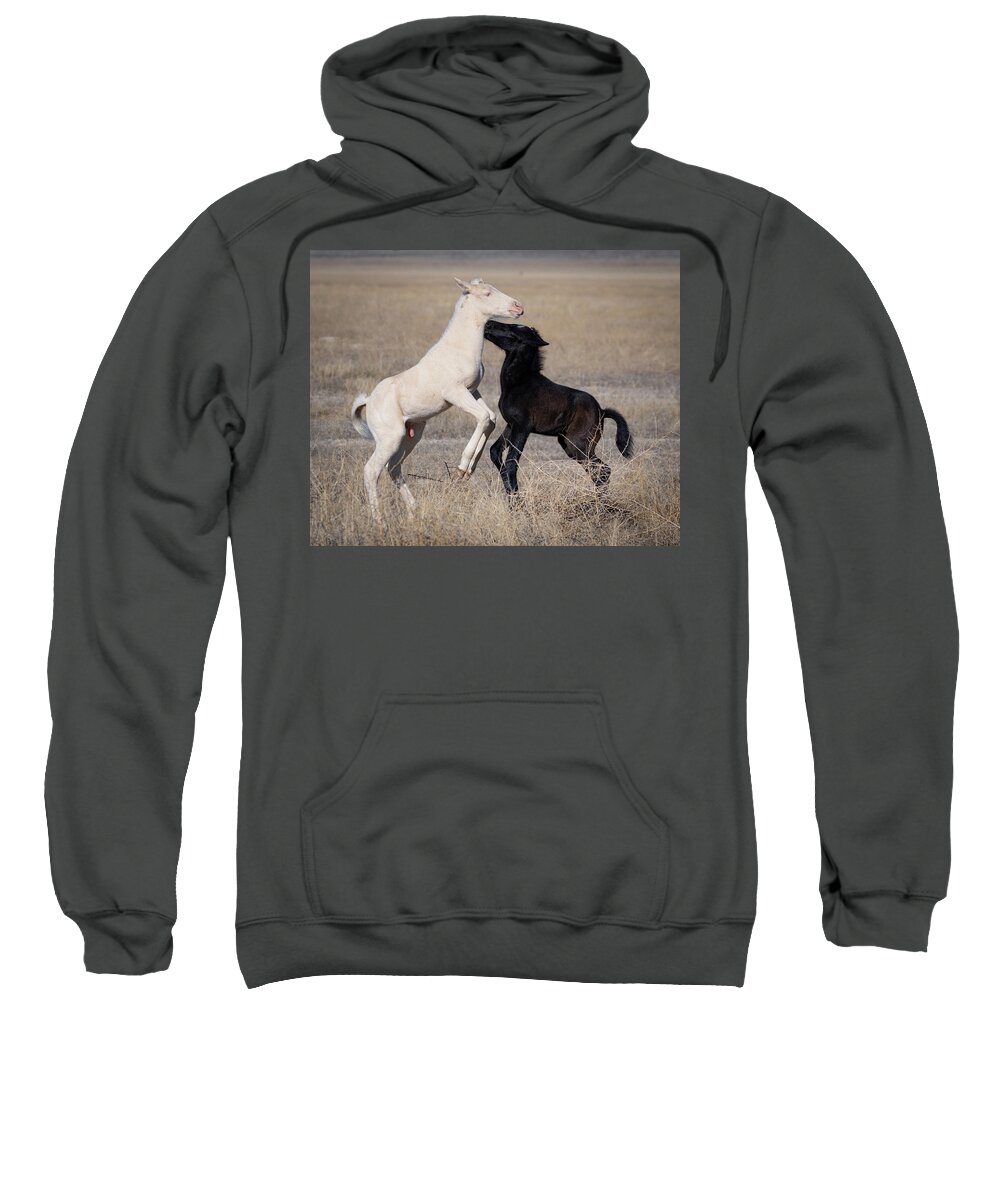 Wild Horses Sweatshirt featuring the photograph New brothers by Mary Hone
