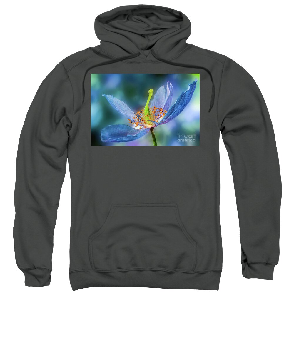 Conservatories Sweatshirt featuring the photograph New Day Flower by Marilyn Cornwell