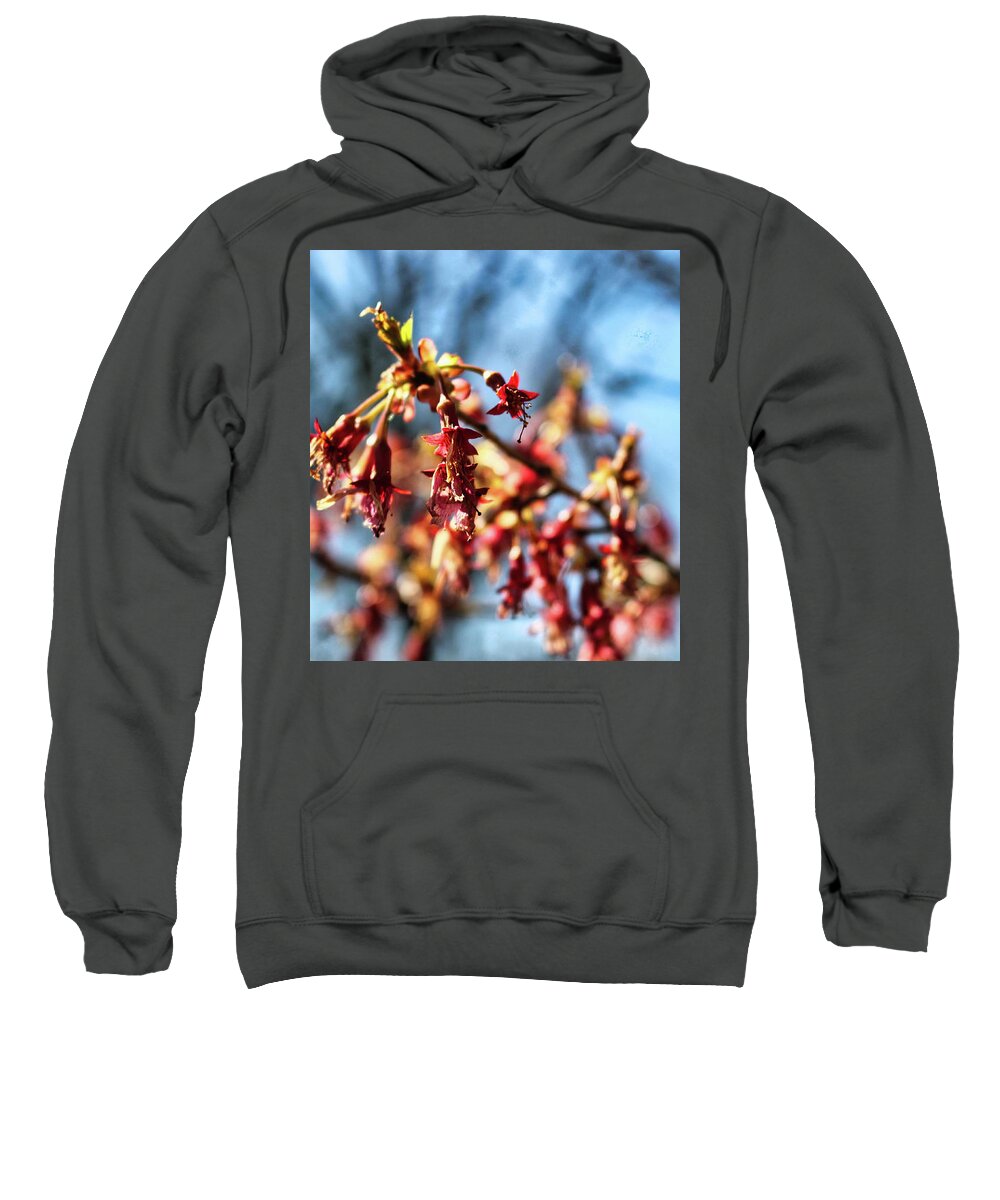 Newark Sweatshirt featuring the photograph Newark Cherry Blossom Series - 1 by Christopher Lotito