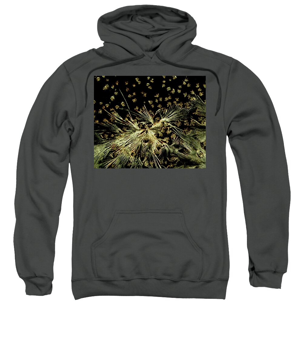 Crystal Sweatshirt featuring the photograph No-rinse cleaner 4 by Ivan Amato