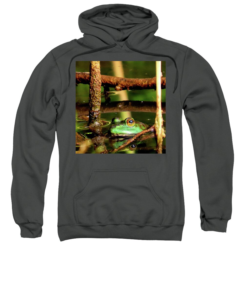 Amphibians Sweatshirt featuring the photograph Northern Green Frog by Linda Stern
