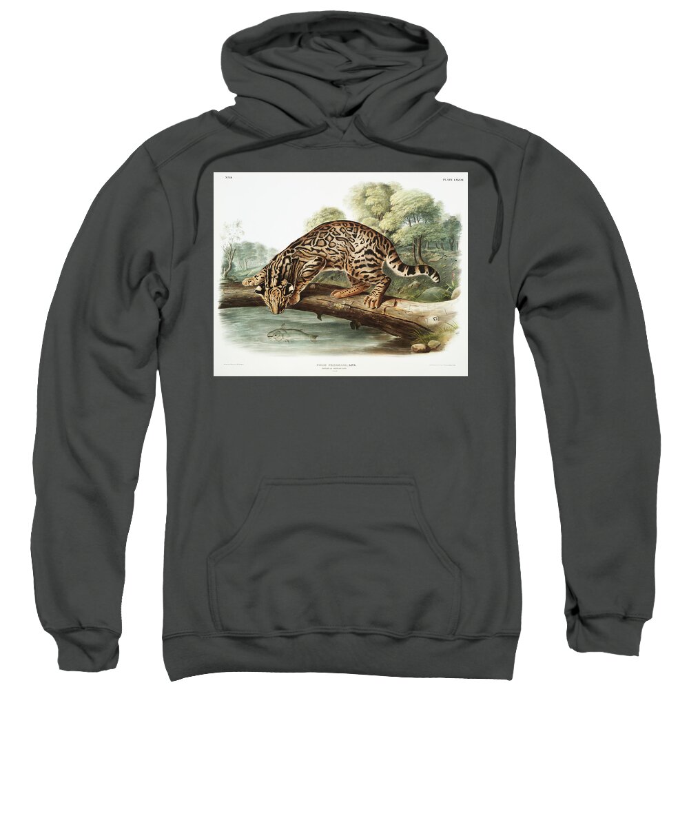 America Sweatshirt featuring the mixed media Ocelot. John Woodhouse Audubon Illustration by World Art Collective