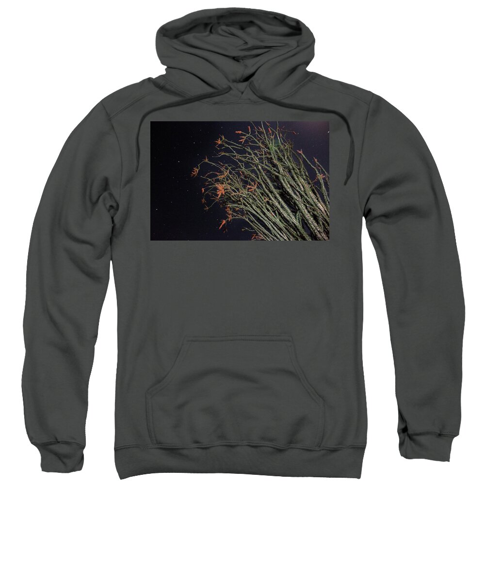Joshua Tree National Park Sweatshirt featuring the photograph Ocotillo and Stars by Joseph Philipson