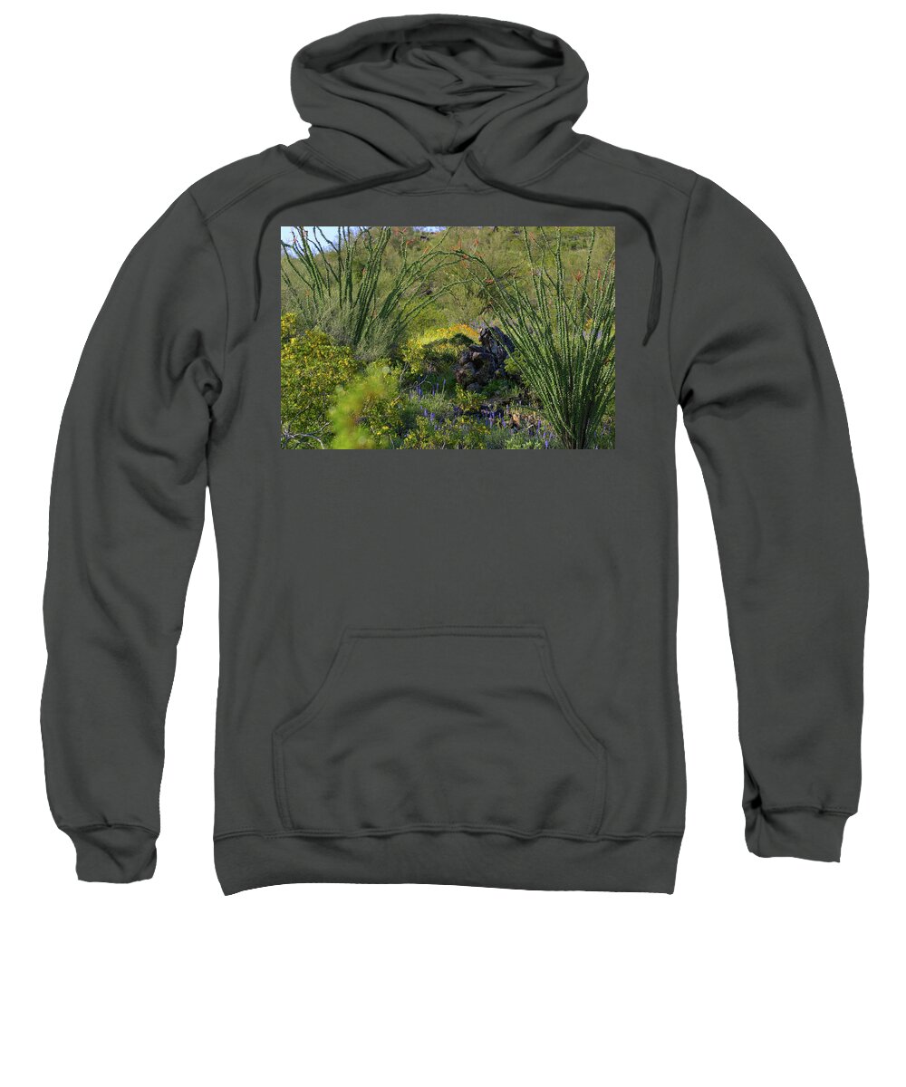 Desert Sweatshirt featuring the photograph Ocotillo Rock Garden by Gene Taylor