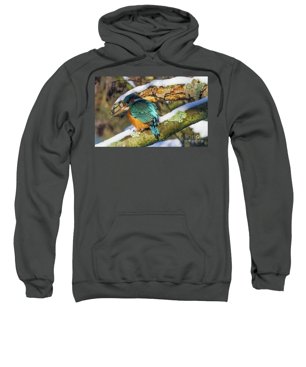European Kingfisher Sweatshirt featuring the photograph On a Cold Winter Morning by Eva Lechner