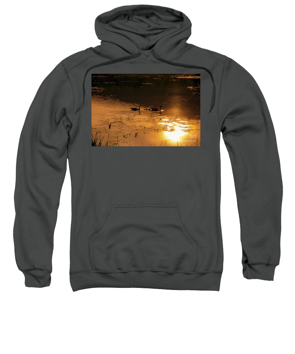 Canadian Geese Sweatshirt featuring the photograph Ripples and Reflections by JCV Freelance Photography LLC