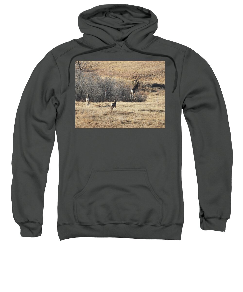 Mule Deer Sweatshirt featuring the photograph One Two Three Jump by Amanda R Wright