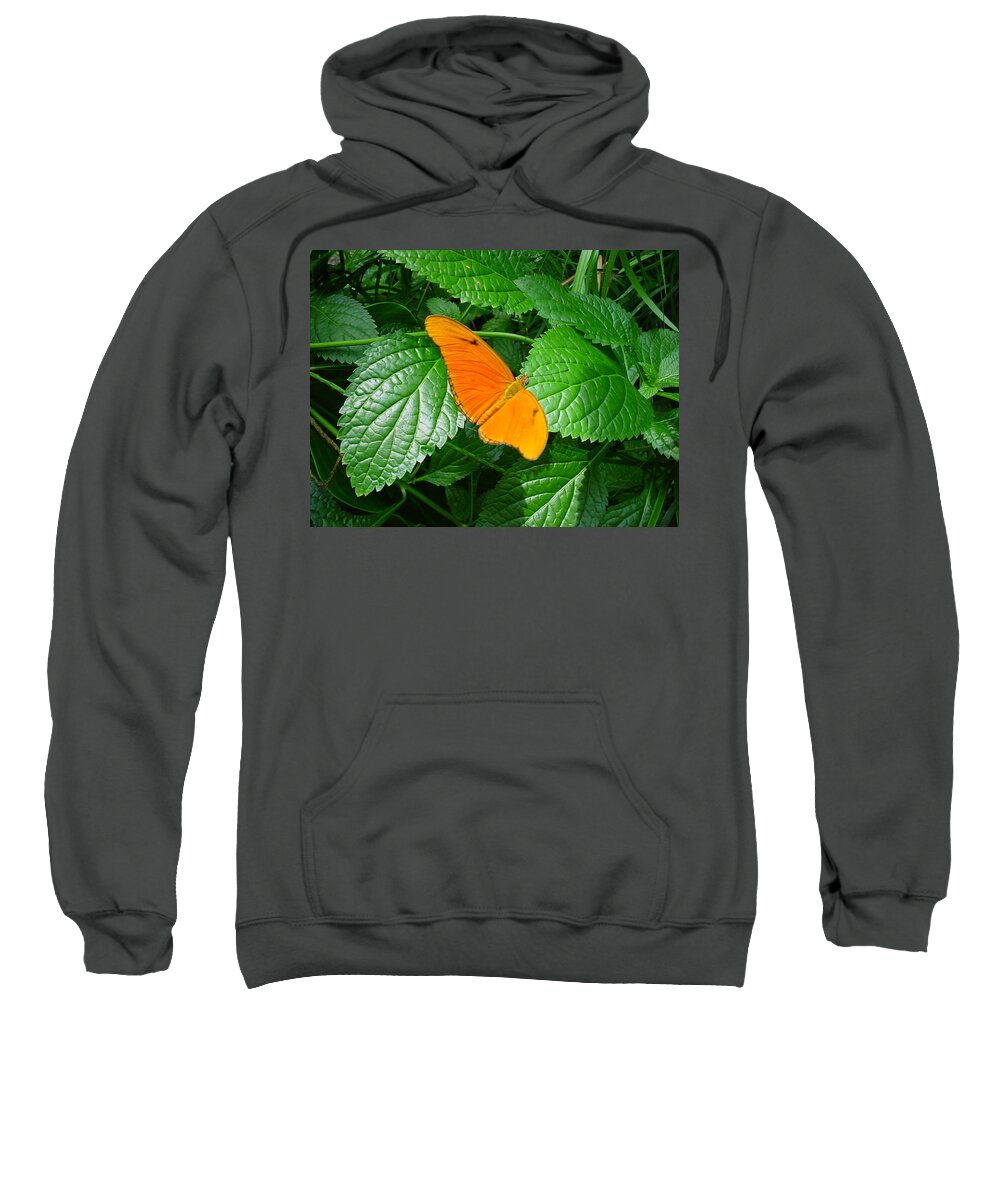 Butterflies Sweatshirt featuring the photograph Orange Beauty by Pour Your heART Out Artworks