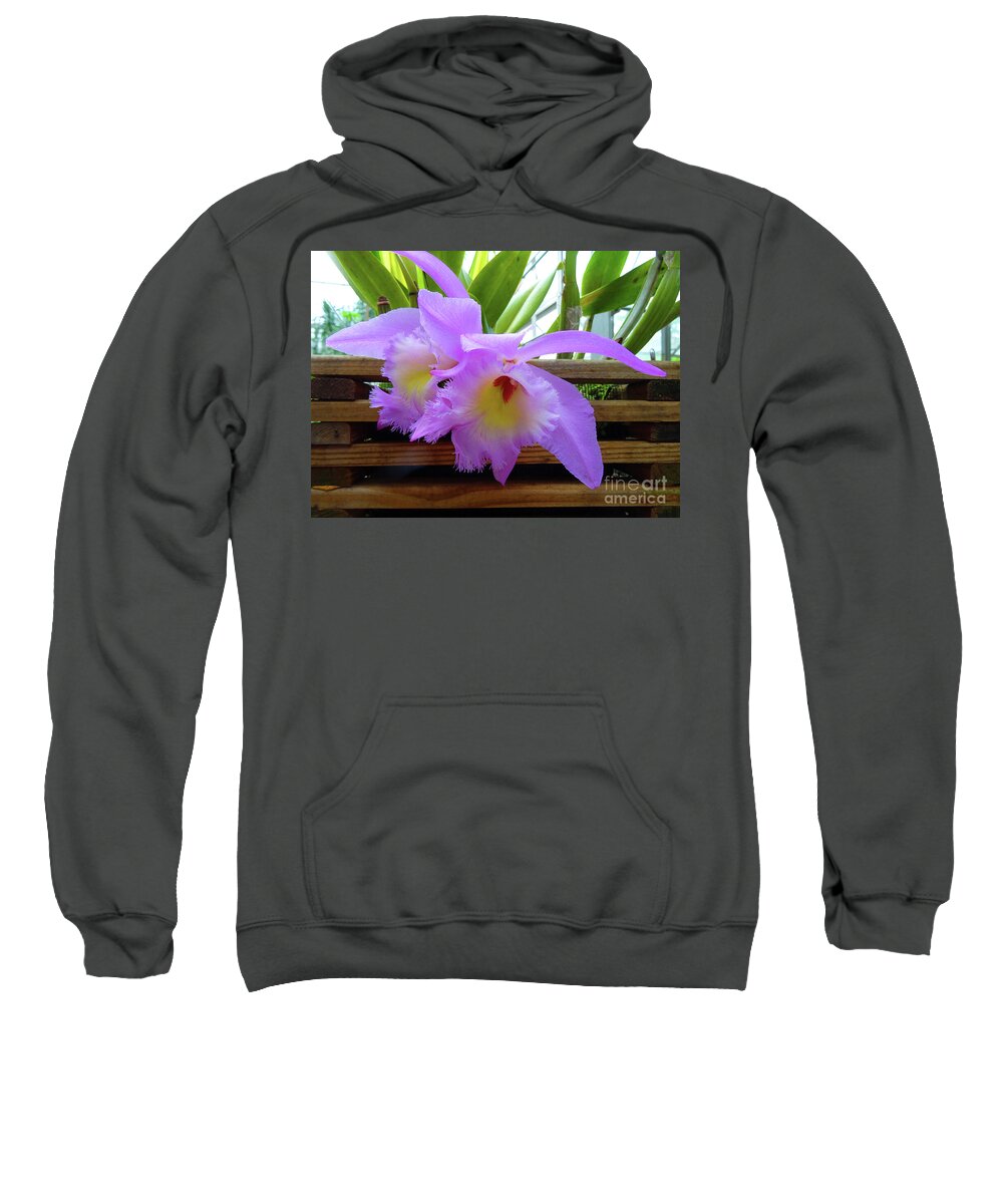 Flowers Sweatshirt featuring the photograph Orchid Wedding Orchid by Eunice Warfel