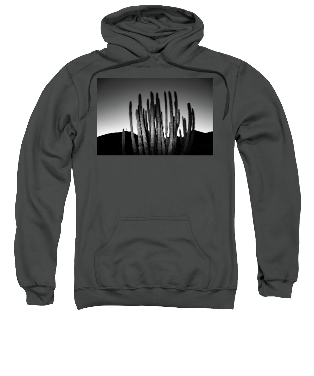 Arizona Sweatshirt featuring the photograph Organ Pipe and the Mountains of Organ Pipe National Monument BW by Joseph Philipson