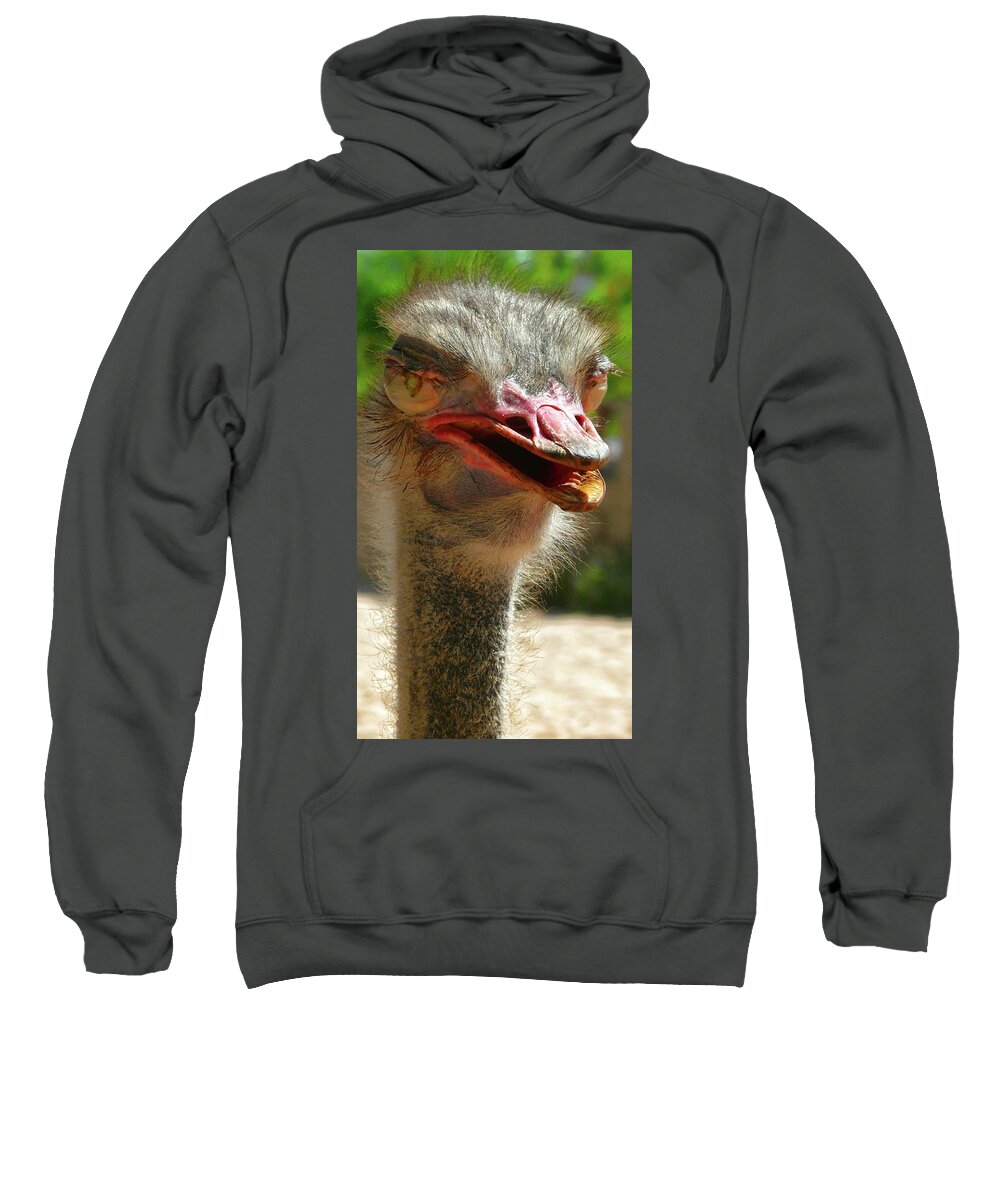 Ostrich Sweatshirt featuring the photograph Ostrich portrait by Robert Bociaga