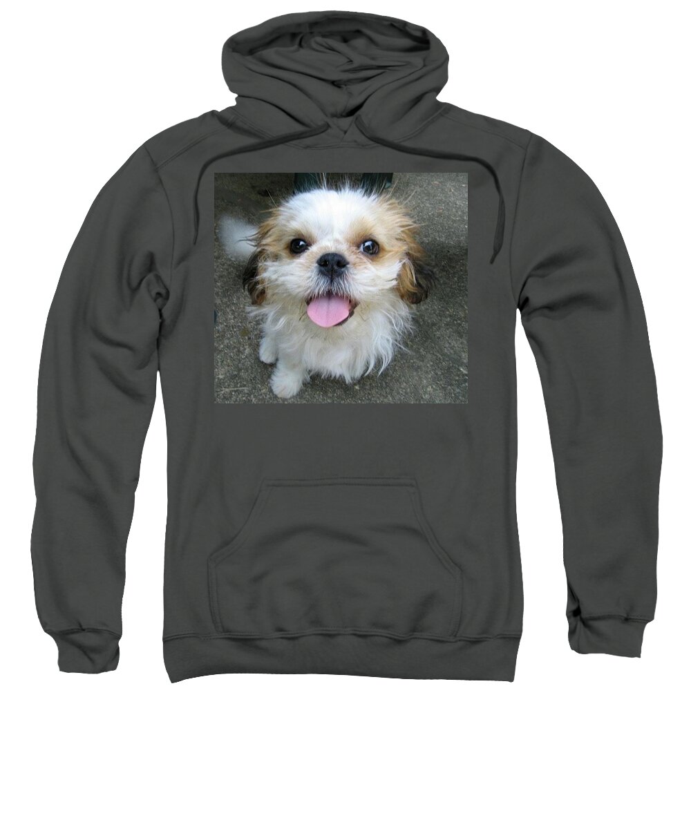 Dog Sweatshirt featuring the photograph Ozzy by Valerie Brown